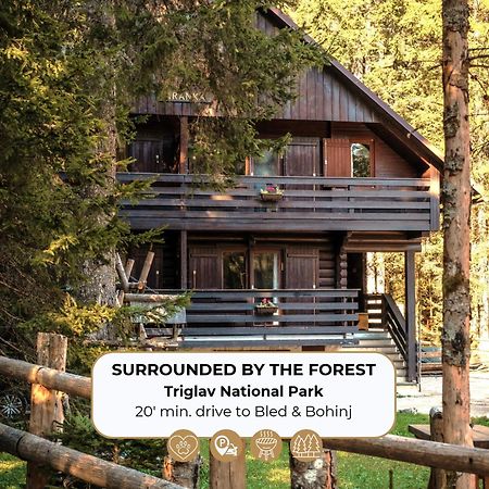 Forest Apartments Pokljuka 지고르니예 고르예 외부 사진