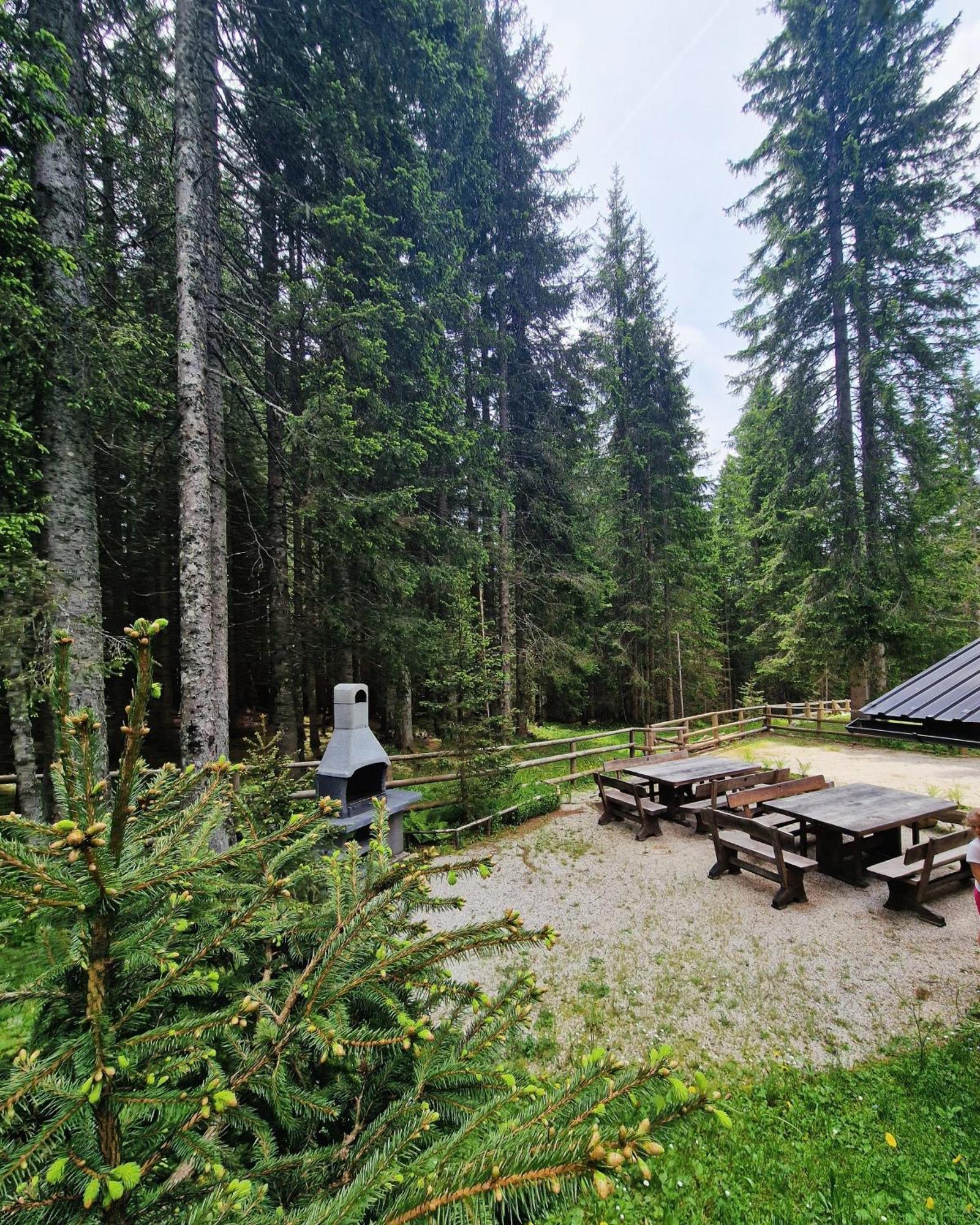 Forest Apartments Pokljuka 지고르니예 고르예 외부 사진