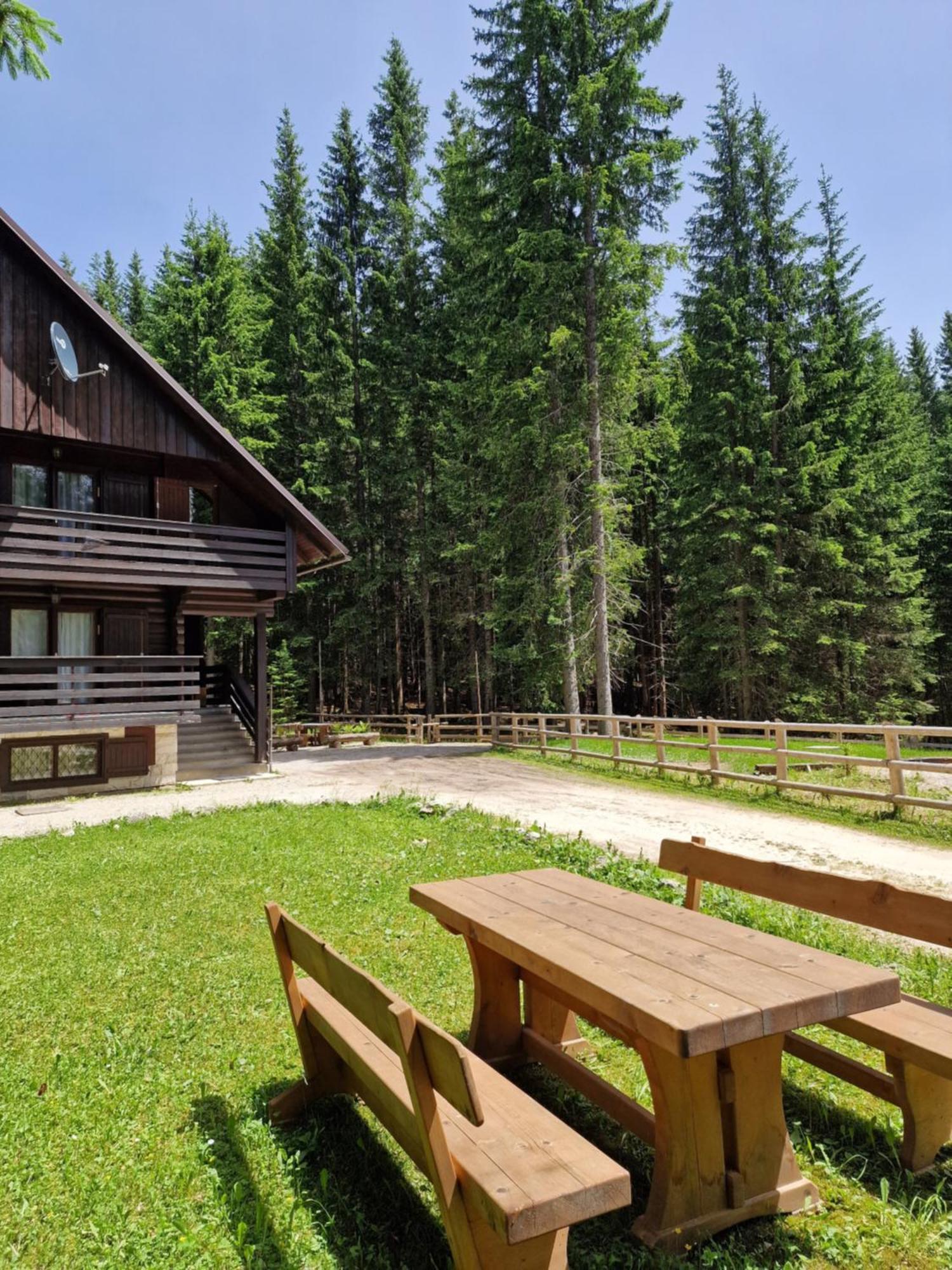 Forest Apartments Pokljuka 지고르니예 고르예 외부 사진