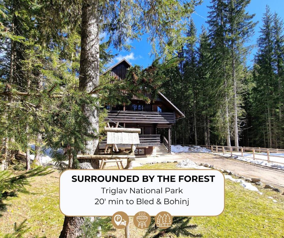 Forest Apartments Pokljuka 지고르니예 고르예 외부 사진